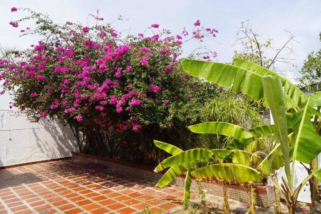Hotel Mar Di Plata Barranquilla  Zewnętrze zdjęcie