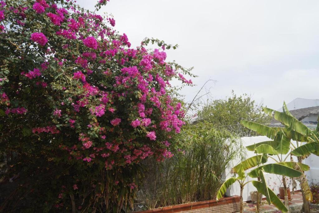 Hotel Mar Di Plata Barranquilla  Zewnętrze zdjęcie